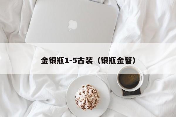 金银瓶1-5古装（银瓶金簪）