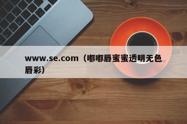 www.se.com（嘟嘟唇蜜蜜透明无色唇彩）