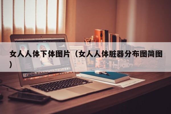 女人人体下体图片（女人人体脏器分布图简图）