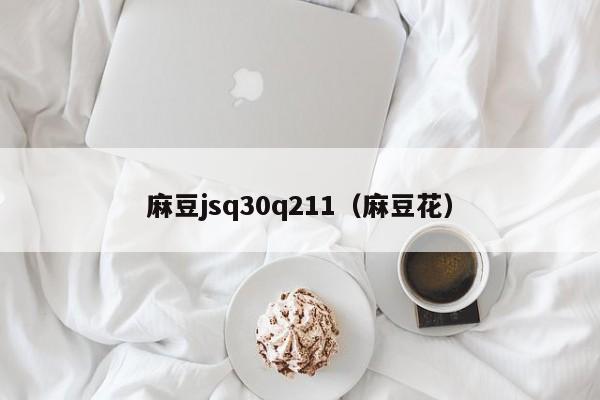 麻豆jsq30q211（麻豆花）