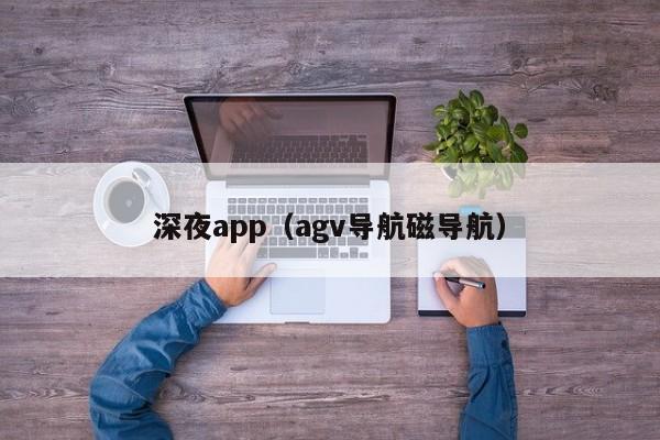 深夜app（agv导航磁导航）