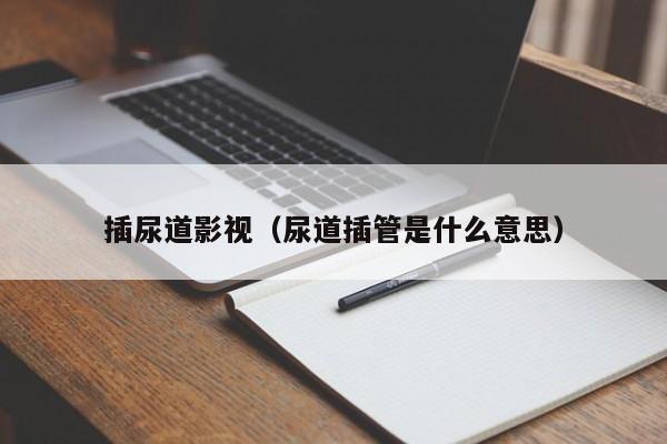 插尿道影视（尿道插管是什么意思）
