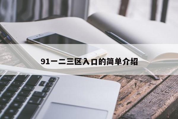 91一二三区入口的简单介绍
