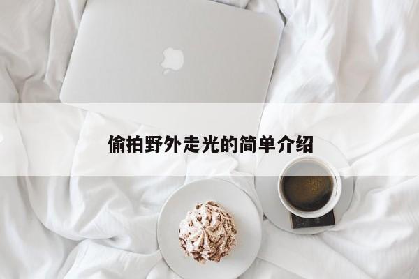 偷拍野外走光的简单介绍