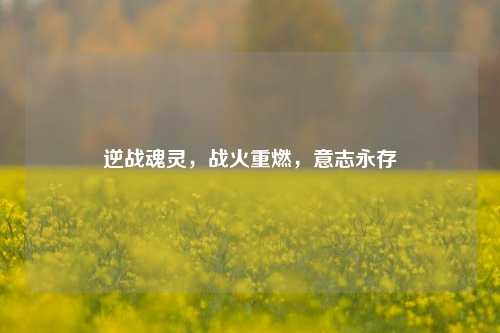 逆战魂灵，战火重燃，意志永存