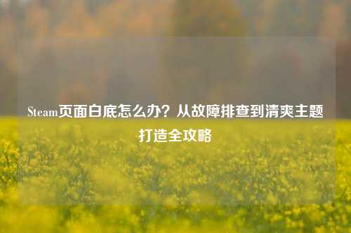 Steam页面白底怎么办？从故障排查到清爽主题打造全攻略