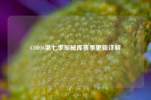 COD16第七季军械库赛季更新详解