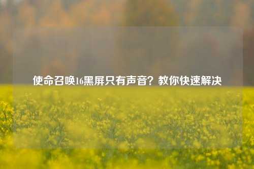 使命召唤16黑屏只有声音？教你快速解决