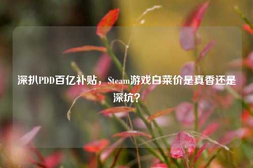 深扒PDD百亿补贴，Steam游戏白菜价是真香还是深坑？