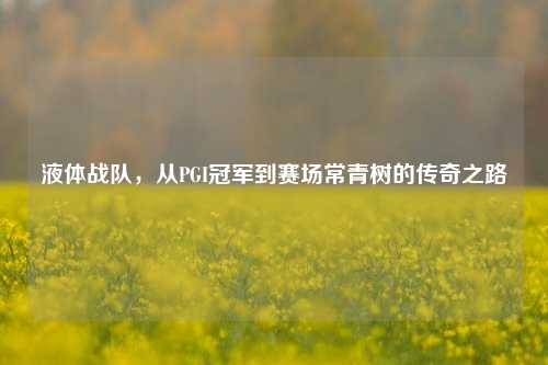 液体战队，从PGI冠军到赛场常青树的传奇之路