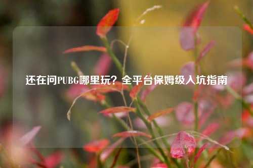 还在问PUBG哪里玩？全平台保姆级入坑指南