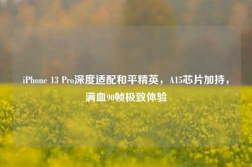 iPhone 13 Pro深度适配和平精英，A15芯片加持，满血90帧极致体验