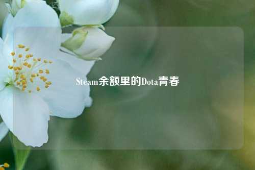 Steam余额里的Dota青春