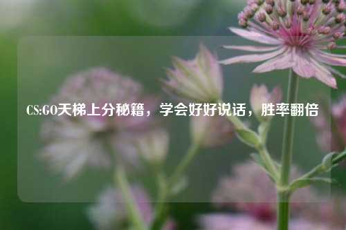 CS:GO天梯上分秘籍，学会好好说话，胜率翻倍