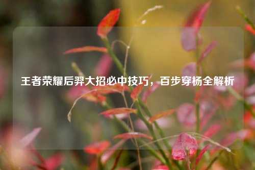 王者荣耀后羿大招必中技巧，百步穿杨全解析