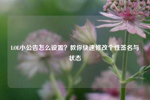 LOL小公告怎么设置？教你快速修改个性签名与状态
