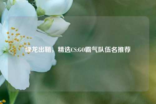 绿龙出鞘，精选CS:GO霸气队伍名推荐