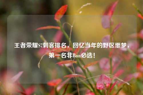 王者荣耀S7刺客排名，回忆当年的野区噩梦，第一名非Ban必选！