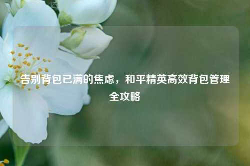 告别背包已满的焦虑，和平精英高效背包管理全攻略
