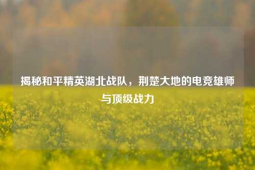 揭秘和平精英湖北战队，荆楚大地的电竞雄师与顶级战力