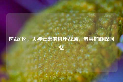 逆战C区，大神云集的机甲战场，老兵的巅峰回忆