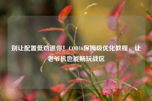 别让配置低劝退你！COD16保姆级优化教程，让老爷机也能畅玩战区
