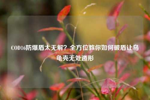 COD16防爆盾太无解？全方位教你如何破盾让乌龟壳无处遁形