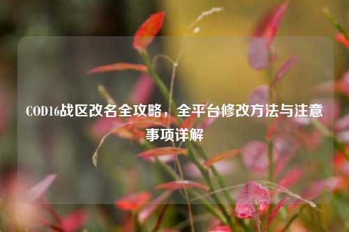 COD16战区改名全攻略，全平台修改方法与注意事项详解