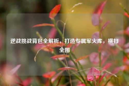 逆战挑战背包全解析，打造专属军火库，横扫全图