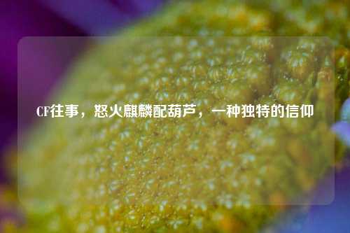 CF往事，怒火麒麟配葫芦，一种独特的信仰