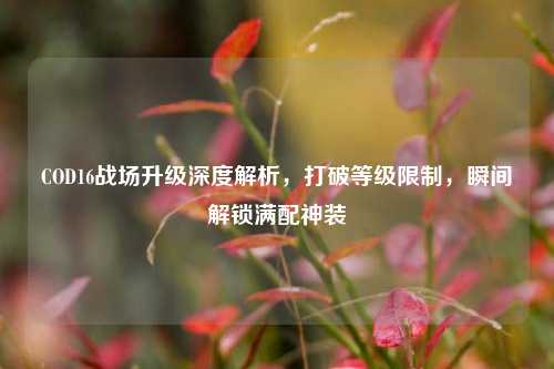 COD16战场升级深度解析，打破等级限制，瞬间解锁满配神装