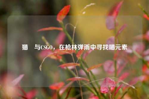 猫宮与CSGO，在枪林弹雨中寻找喵元素