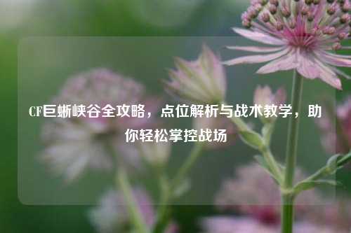 CF巨蜥峡谷全攻略，点位解析与战术教学，助你轻松掌控战场