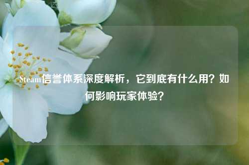Steam信誉体系深度解析，它到底有什么用？如何影响玩家体验？