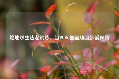 绝地求生法老试炼，当PUBG邂逅埃及沙漠风情