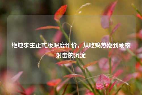 绝地求生正式版深度评价，从吃鸡热潮到硬核射击的沉淀