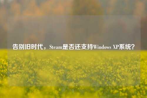 告别旧时代，Steam是否还支持Windows XP系统？
