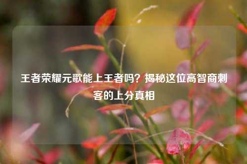 王者荣耀元歌能上王者吗？揭秘这位高智商刺客的上分真相
