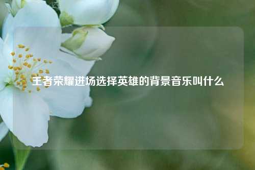 王者荣耀进场选择英雄的背景音乐叫什么