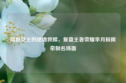 暗影女王的绝境救赎，复盘王者荣耀芈月极限牵制名场面