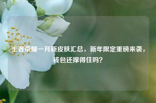 王者荣耀一月新皮肤汇总，新年限定重磅来袭，钱包还撑得住吗？