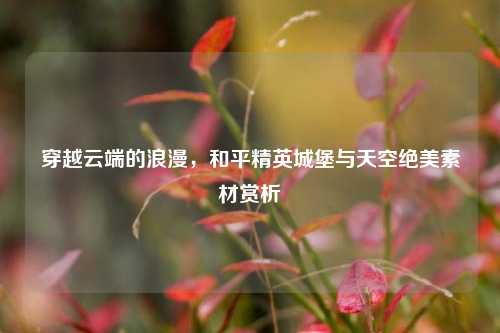 穿越云端的浪漫，和平精英城堡与天空绝美素材赏析