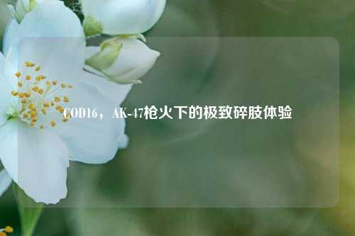 COD16，AK-47枪火下的极致碎肢体验