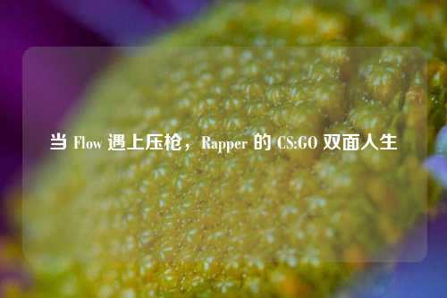 当 Flow 遇上压枪，Rapper 的 CS:GO 双面人生