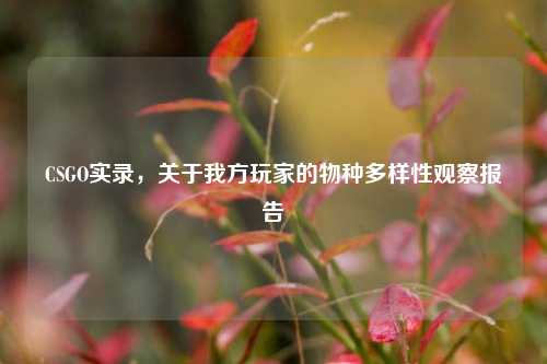 CSGO实录，关于我方玩家的物种多样性观察报告