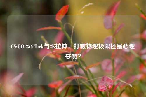 CS:GO 256 Tick与2K拉伸，打破物理极限还是心理安慰？