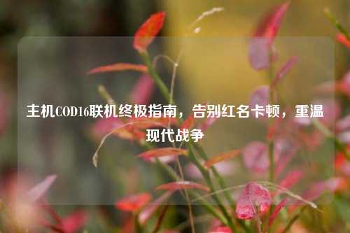 主机COD16联机终极指南，告别红名卡顿，重温现代战争