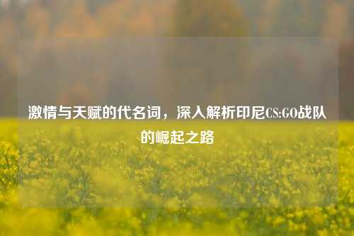 激情与天赋的代名词，深入解析印尼CS:GO战队的崛起之路