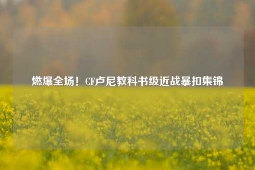 燃爆全场！CF卢尼教科书级近战暴扣集锦