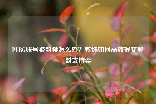 PUBG账号被封禁怎么办？教你如何高效提交解封支持票